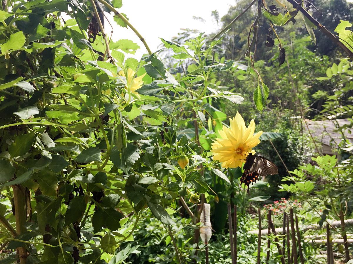 Dinaro Guest Hotel Ella Ngoại thất bức ảnh