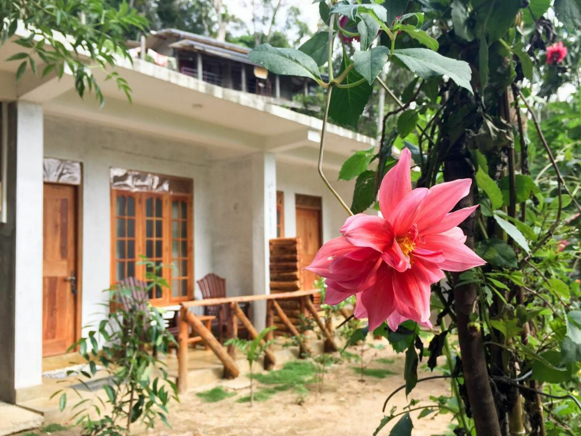Dinaro Guest Hotel Ella Ngoại thất bức ảnh